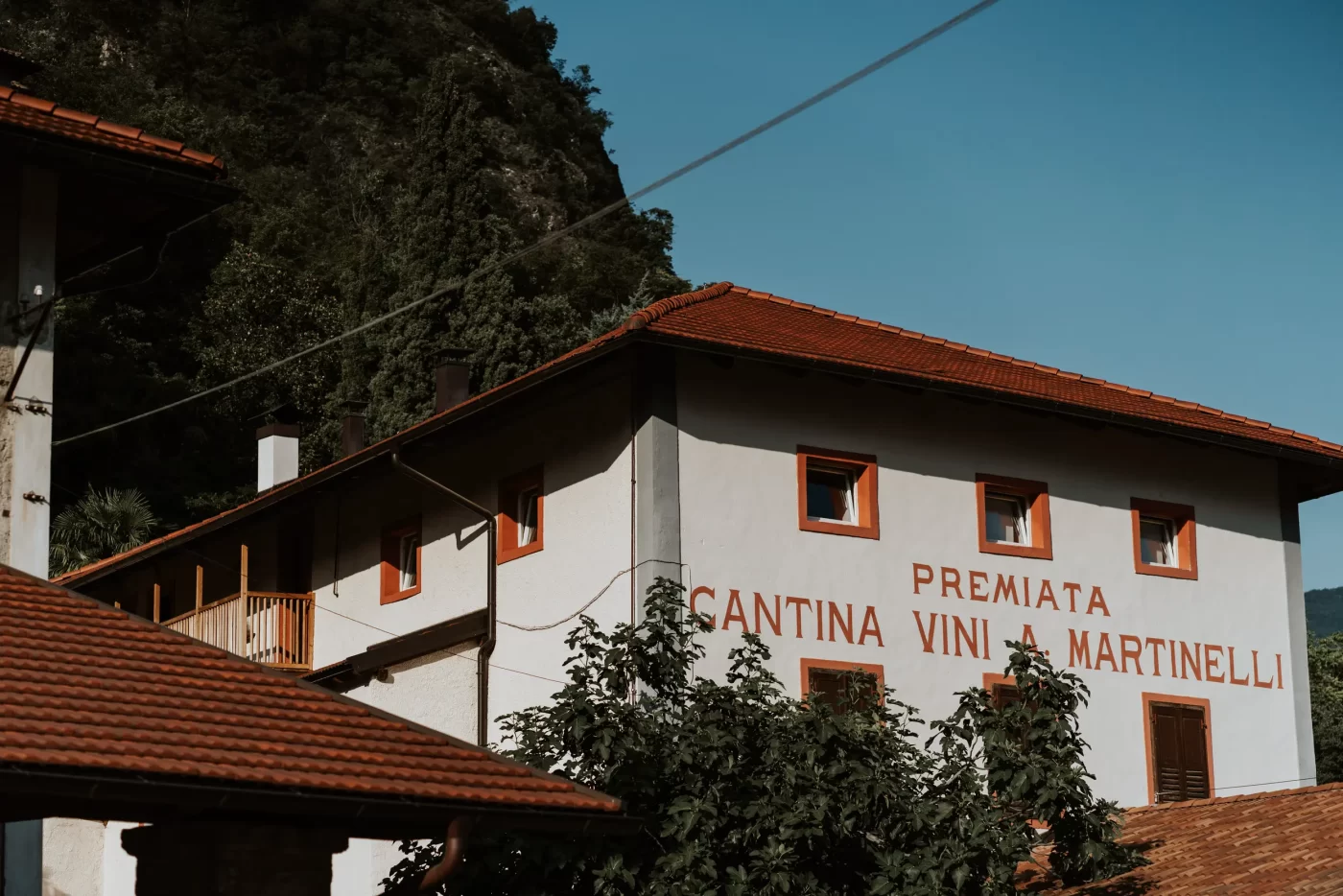 matrimonio alle Cantine Martinelli Mezzocorona